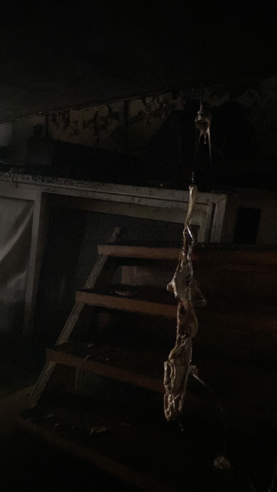 WhatsApp Image 2023-03-18 at 1.56.52 PM.jpeg